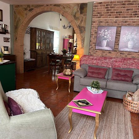 Appartement Loft Rural à Tegueste Extérieur photo