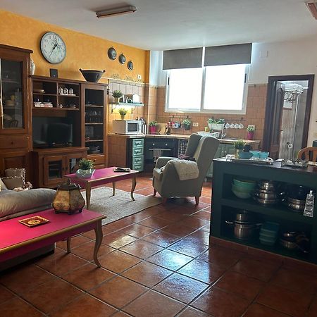 Appartement Loft Rural à Tegueste Extérieur photo
